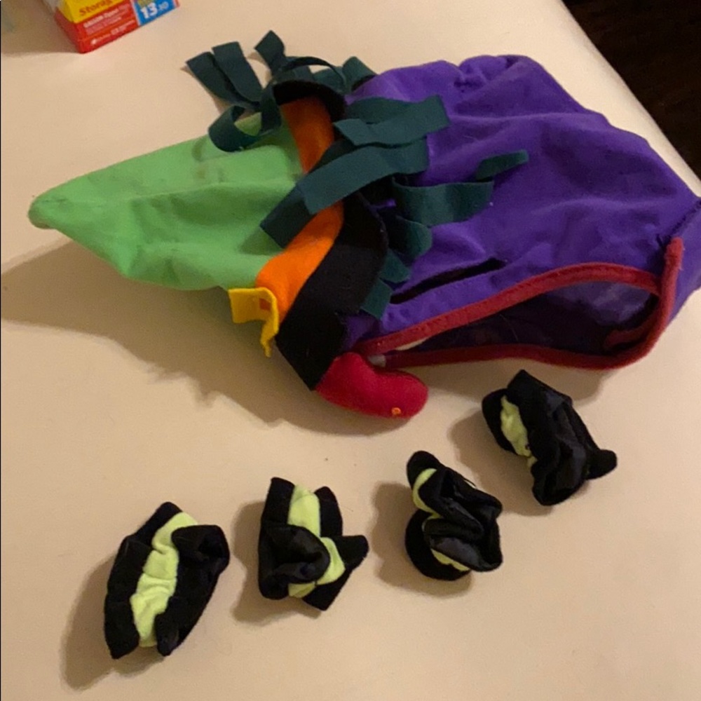 Witch Costume for Dogs